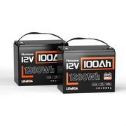 2 pcs Humsienk 12V 100Ah LiFePO4 Lithium Batteries