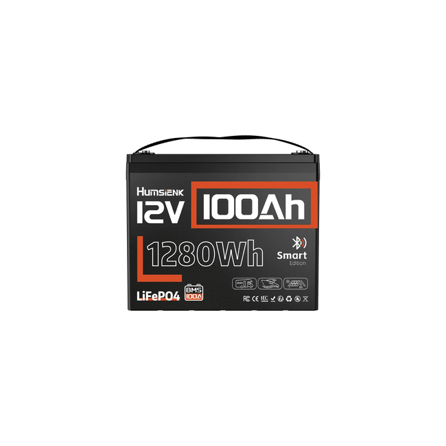 Humsienk 12V 100Ah Bluetooth LiFePO4 Battery Group 24